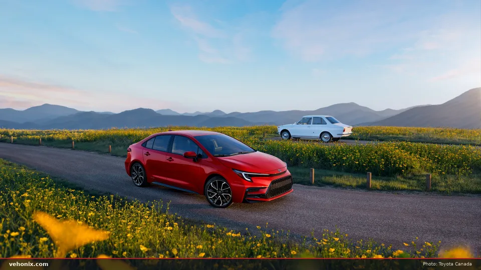 2026 Toyota Corolla in red, driving on a road through yellow wildflowers