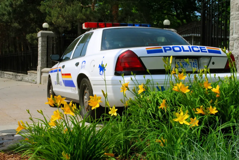 A white RCMP police car with red and blue roof lights parked beside yellow lilies